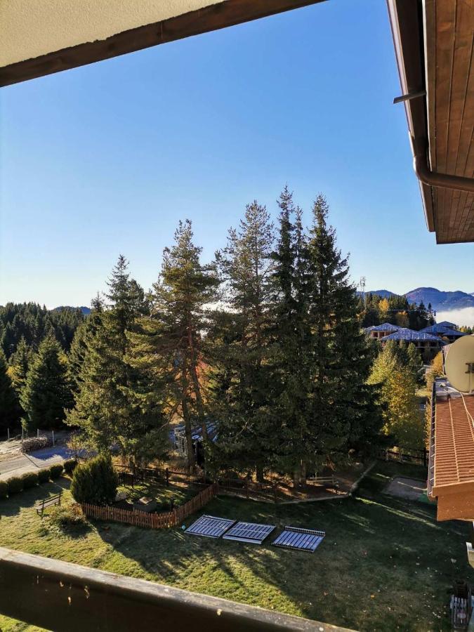 Forest Home 524 Smolyan Exterior photo
